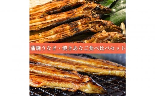 焼きあなご1串・蒲焼きうなぎ1尾食べ比べセット 2318276 - 兵庫県神戸市