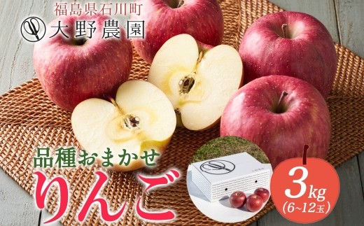 りんご3kg 品種お任せ 6～12玉 ｜ リンゴ 旬 ランダム 林檎 果物 フルーツ 甘い アップル 産直 大野農園 福島県 石川町【19010】 2217601 - 福島県石川町