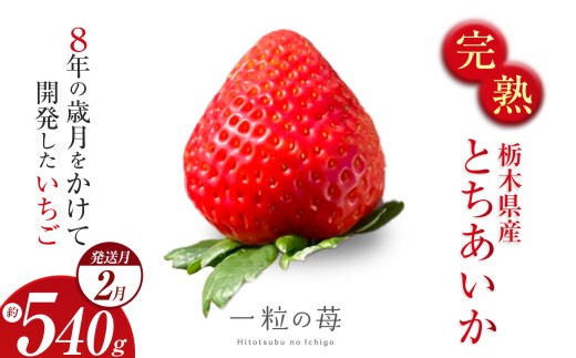 完熟いちご とちあいか 栃木県真岡市産 540g | 2026 年 先行予約 選べる 2月 いちご 苺 strawberry ストロベリー おいしい 甘い ジューシー 贈答用 プレゼント ご褒美 スイーツ おやつ 高評価 人気 レビュー 栃木県 真岡市 日本一 送料無料 2307981 - 栃木県真岡市