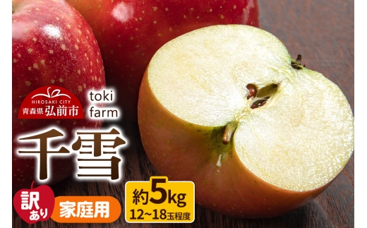 【25年10月～発送】りんご【訳あり】千雪 約5kg（12～18玉程度）家庭用 toki farm 林檎 アップル 果実 果物 美味