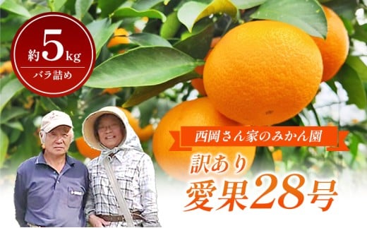 【数量限定】訳あり「愛果28号」約5kg バラ詰め 〈訳あり ワケあり ふぞろい 家庭用 愛果28号 みかん 柑橘 甘味 ゼリー 愛媛 砥部町〉[№5310-0245] 1423554 - 愛媛県砥部町