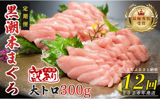 【定期便 12回】高知県産 本マグロ 大トロ 養殖 2柵 300g (不定貫) 2318296 - 高知県大月町