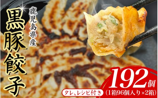 黒豚　冷凍餃子　192個
