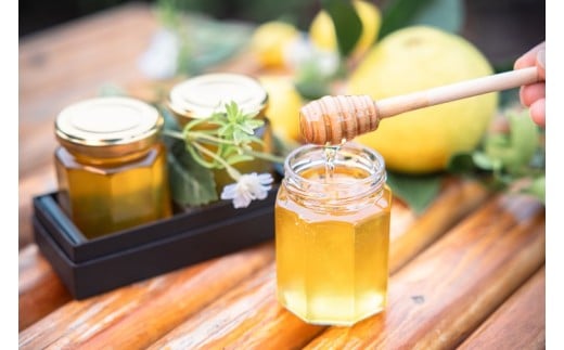 国産百花蜜：伊豆の花々 百花の生はちみつ（贈答用150g×2本） 1379 ／ Honey・D  国産 ハチミツ 非加熱 無添加 静岡県 東伊豆町 2321020 - 静岡県東伊豆町