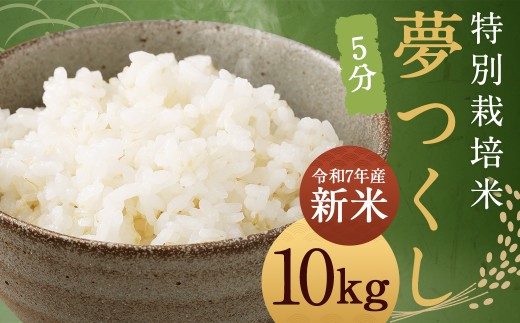 [5分] 夢つくし (特別栽培米) 約10kg 福岡県産 令和7年産 新米 米 こめ コメ