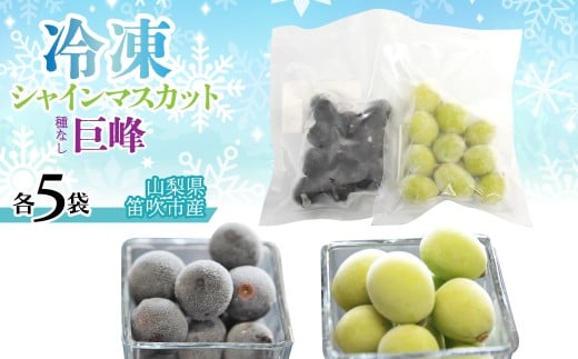 冷凍シャイン、冷凍巨峰（各5袋） 230-004-b-2 2319263 - 山梨県笛吹市