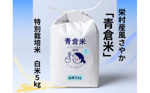 《令和７年産》長野県栄村産風さやか「青倉米」特別栽培米白米５kg 2319049 - 長野県栄村