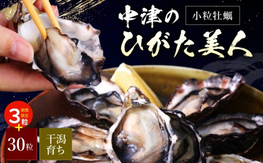 【期間限定】ひがた美人 (牡蠣 30粒 + 3粒) 堪能セット | 養殖 冷蔵 かき オイスター 酒の肴 つまみ おかず 大分県産 九州産 国産 大分県 中津市