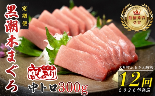 【定期便 12回】高知県産 本マグロ 中トロ 養殖 2柵 300g (不定貫) 2318293 - 高知県大月町