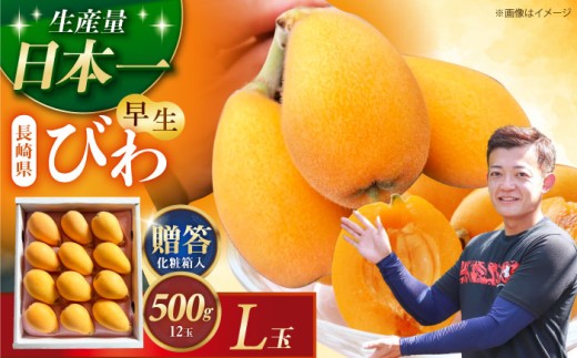 [先行予約]長崎県産ハウスびわ(早生) 500g L玉 贈答用 長崎県/森保農園 [42AACO001]