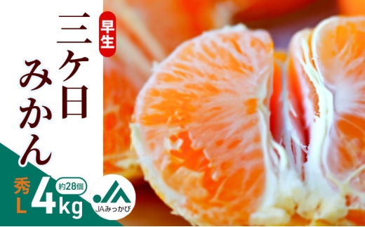 早生三ケ日みかん 秀L 4kg （約28個） みかん ミカン フルーツ 果物 くだもの 機能性表示食品 浜松市 [№5360-0859]