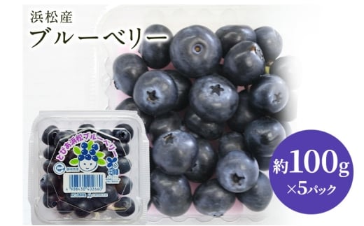 【浜松市産】ブルーベリー 約100g×5パック 計約500g 甘酸っぱい アントシアニン 食物繊維 ビタミン ミネラル 抗酸化作用 腸内環境改善 美容 美肌 健康 静岡県 浜松市 [№5360-0862]