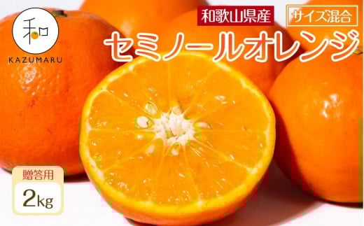 贈答用 森本農園の手選別 厳選セミノールオレンジ 約2kg 和歌山県産 サイズ混合 ［北海道・沖縄・離島配送不可］［2026年4月中旬から順次発送］［RN110］ 2318121 - 和歌山県和歌山市