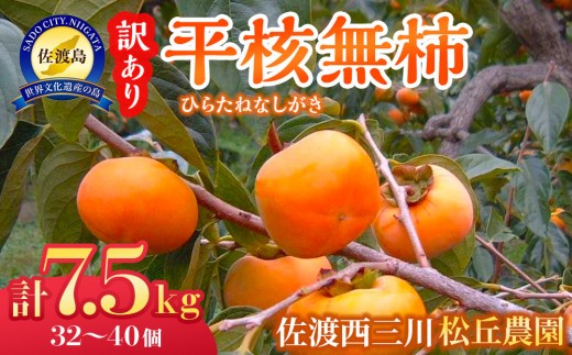 【先行予約】【訳あり】佐渡・松丘農園の「平核無柿（ひらたねなしがき）」7.5kg（32～40玉） 2319380 - 新潟県佐渡市