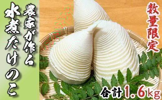 【手軽に使える】生産農家が作る！水煮たけのこ 1.6kg 令和7年産 産地直送 無添加 若手農家 応援 小分け 惣菜 筍 タケノコ 和食 870906 - 熊本県南関町