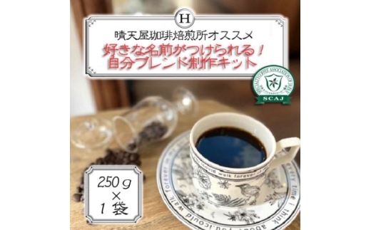 好きな名前がつけられる!自分ブレンド制作キット　250g×1袋【1672087】