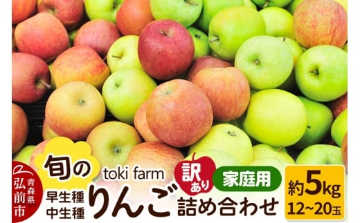 【25年10月発送】りんご【訳あり】旬のりんご 早生種・中生種詰め合わせ 約5kg（12～20玉程度）家庭用 toki farm 林檎 アップル 果実 果物 詰め合わせ 詰合 美味 