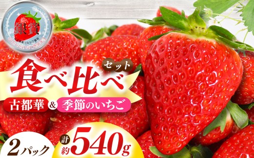 「 古都華 」＆「 季節 の いちご 」 食べ比べ セット （ 1パック ずつ） 計 2パック  | フルーツ くだもの 果物 イチゴ ことか コトカ 奈良県 五條市 苺 品種 特徴 糖度 旬 2月 順次発送 LIP～幸せいちご園～ 産地直送 農家直送 お取り寄せ 送料無料 グルメ フレッシュ 果実 新鮮 ブランド苺 ストロベリー 冷蔵 高糖度 減農薬栽培 最高級 濃厚 贅沢 ギフト 贈答