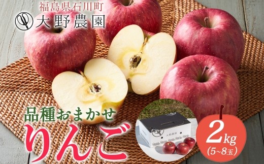 りんご 2kg 品種お任せ 5～8玉 ｜ リンゴ 旬 ランダム 林檎 果物 フルーツ 甘い アップル 産直 大野農園 福島県 石川町【19009】 2217600 - 福島県石川町