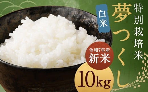 [白米] 夢つくし (特別栽培米) 約10kg 福岡県産 令和7年産 新米 米 こめ コメ
