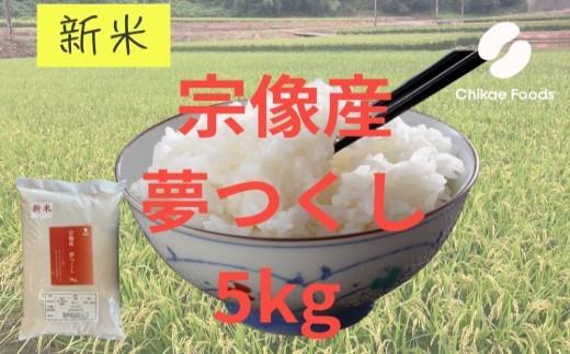 宗像産 夢つくし 5kg（ 米 白米 おいしい 福岡県 宗像市 宗像産 夢つくし 5kg 5キロ ）【ちかえフーズ】_HA1807