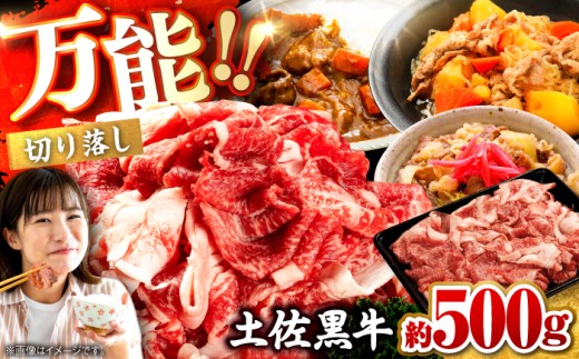 土佐黒牛 切り落し 約500g[高知県食肉センター株式会社] [ATFC020]