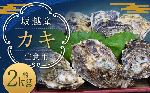 坂越産カキ 生食用 殻付 約2kg