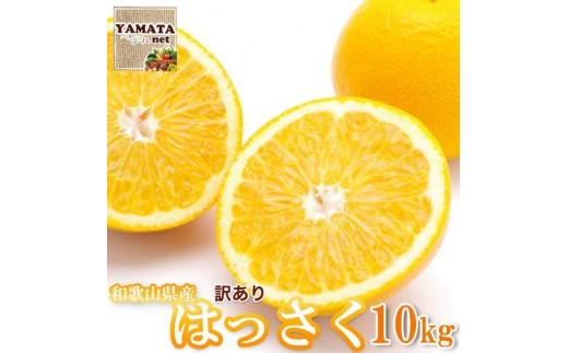 和歌山県和歌山市のふるさと納税 【訳あり】はっさく 和歌山産 八朔 10kg 【ご自宅用・サイズ不揃い・キズ等あり】