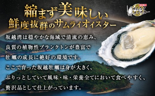 坂越かき むき身 約500g×2パック 計約1kg