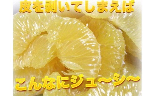 和歌山県和歌山市のふるさと納税 【訳あり】はっさく 和歌山産 八朔 10kg 【ご自宅用・サイズ不揃い・キズ等あり】