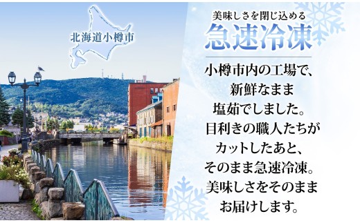 ズワイガニ 蟹しゃぶセット 約1kg 【otaru007】
