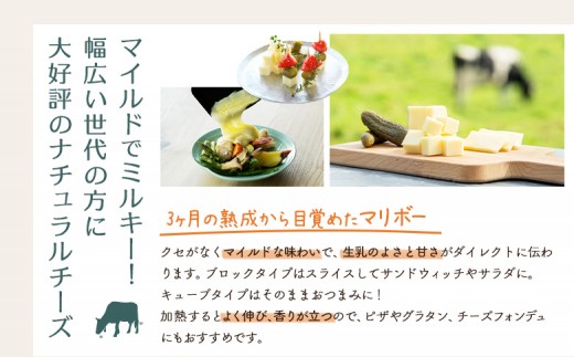 竹下牧場まるごとチーズセット