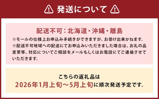 坂越産カキ 生食用 殻付 約2kg