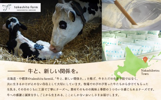 竹下牧場まるごとチーズセット