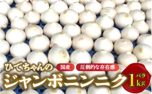 	ひでちゃんのジャンボニンニク（バラ）1kg