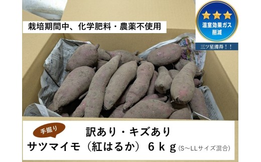 ≪訳あり≫ 栽培期間中、化学肥料・農薬不使用　温室効果ガス削減に貢献しながら、のどかな畑で大切に育てた　キズあり　サツマイモ（紅はるか）６ｋｇ　S～LLサイズ混合  MF-01