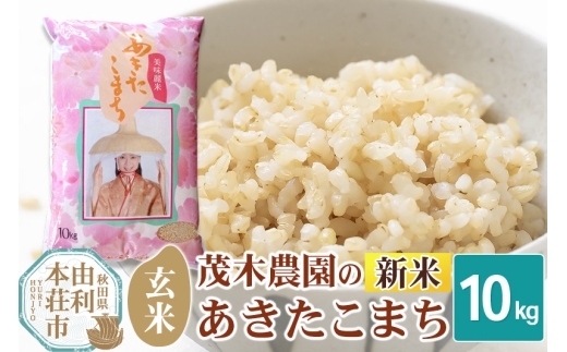 《令和7年産 新米》【玄米】10kg あきたこまち 秋田県産 茂木農園のあきたこまち 玄米 10kg 264584 - 秋田県由利本荘市