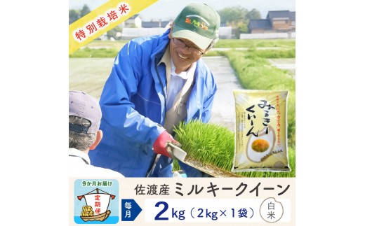 【新米予約 9か月定期便】佐渡島産ミルキークイーン 白米2Kg 令和7年 特別栽培米 2320006 - 新潟県佐渡市