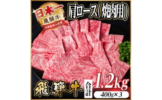 飛騨牛　厳選肩ロース(焼肉・BBQ用)1.2kg(400g×3)　A4～A5等級＜冷凍便＞小分け【1674166】