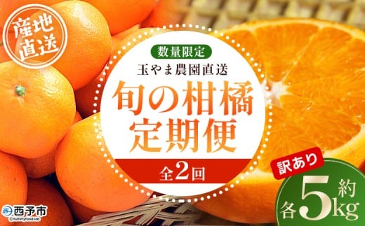＜訳あり 旬の柑橘定期便 2回（温州みかん 約5kg・せとか 約5kg）＞ 数量限定 産地直送 自宅用 家庭用 みかん ミカン 蜜柑 柑橘 フルーツ 果物 果実 特産品 旬 玉やま農園 愛媛県 西予市【常温】『1回目：2025年12月／2回目：2026年3月に順次出荷予定』