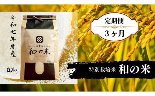 【3ヵ月定期便】《 令和7年産 》和の米「酵素米」　精米10kg×3回 ／ 米 こめ コメ お米 おこめ コシヒカリ こしひかり 和の米 酵素米 特別栽培認証 新米 白米 精米 ごはん ご飯 令和7年産 10kg 定期便 茨城県 利根町 送料無料