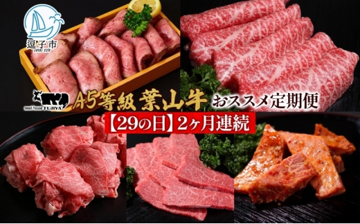 【29の日定期便】2ヶ月連続 葉山牛 定期便 カタログ ギフト カルビ切り落し ジューシー 黒毛和牛 霜降り 赤身 肉 焼く 家族 贈り物 受賞 うし 和牛 冷凍 良質 冷凍便 送料無料 冨士屋牛肉店 神奈川県 逗子市 [№5875-0848]