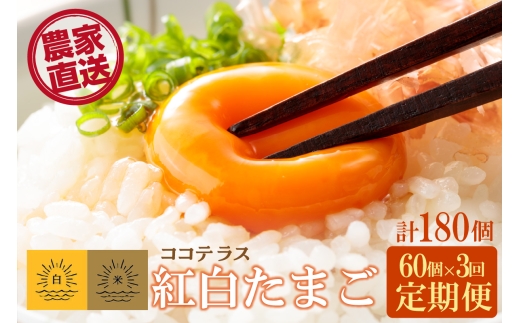 【3ヵ月定期便】ココテラスの紅白たまご　55個 + 5個保証（計60個）【JGAP認証】 1171249 - 愛知県常滑市