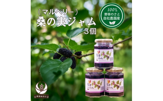桑の実ジャム150g(3個)【1670288】 2319792 - 山梨県山梨県庁