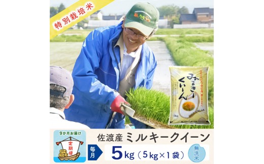 【新米予約 9か月定期便】佐渡島産ミルキークイーン 無洗米5Kg 令和7年 特別栽培米 2320003 - 新潟県佐渡市