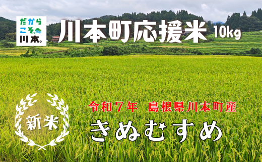 150255【川本町産】川本町応援米｜きぬむすめ10kg