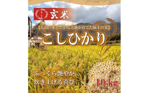 1109.令和7年産　こしひかり玄米　10kg