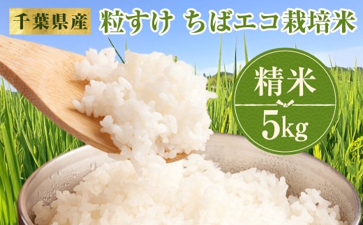 W01801　令和７年産　千葉県産　粒すけ　ちばエコ栽培米　精米　5㎏