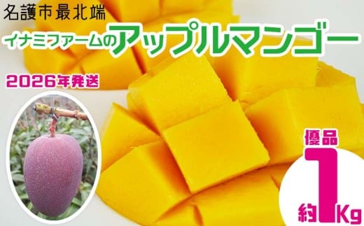 【2026年発送】名護市最北端イナミファームの　優品　アップルマンゴー 約1kg フルーツ 果物 期間限定 数量限定 マンゴー 南国 プレゼント お土産 おみやげ ギフト くだもの 沖縄 おきなわ 青果 デザート 冷蔵 おすすめ 人気 夏 スイーツ 808614 - 沖縄県名護市