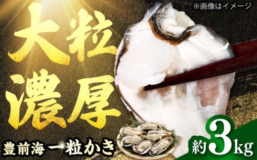 【2026年1月中旬より順次発送】 豊前海 一粒かき 約3kg 吉富町/南水産 [BGBD002]